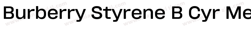 Burberry Styrene B Cyr Medium Plus字体转换